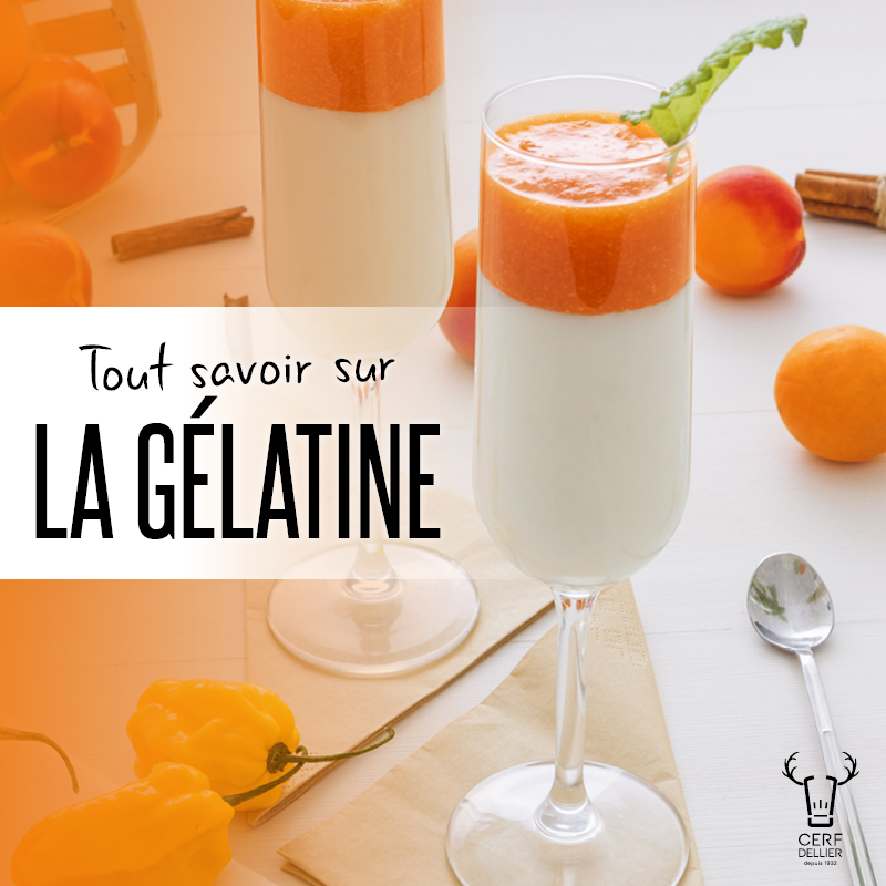 Comment Faire De La Gelatine Maison Ventana Blog